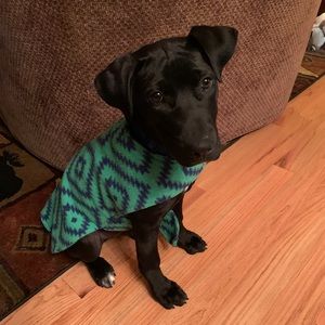 Meet your Posher, Luke